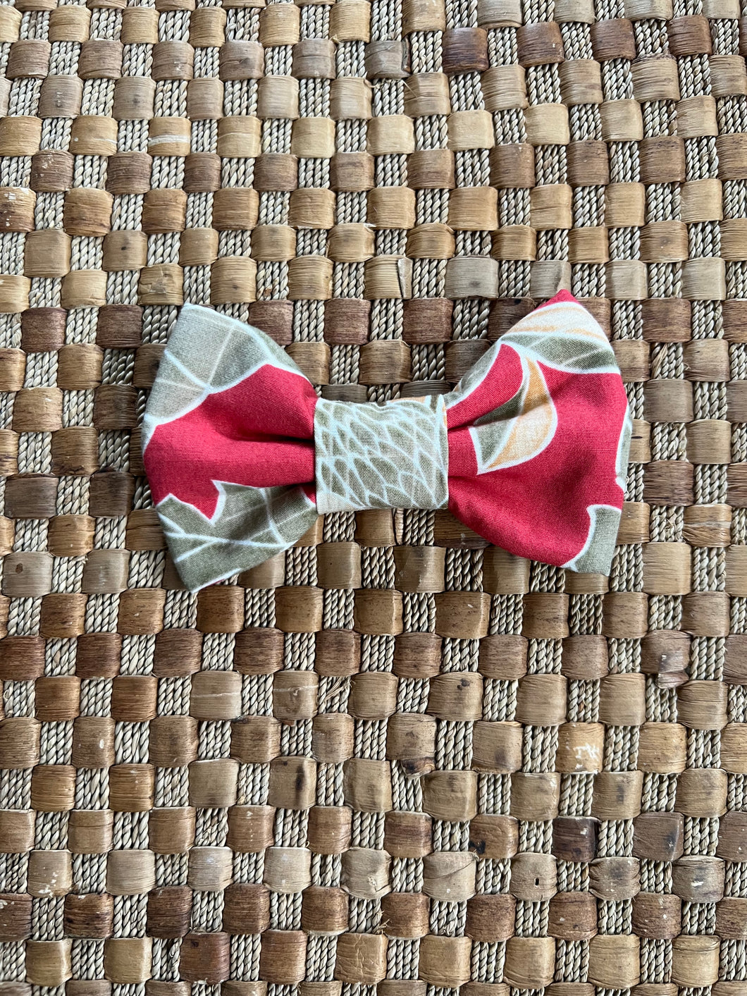 Coral Pink Ginger Bow Tie