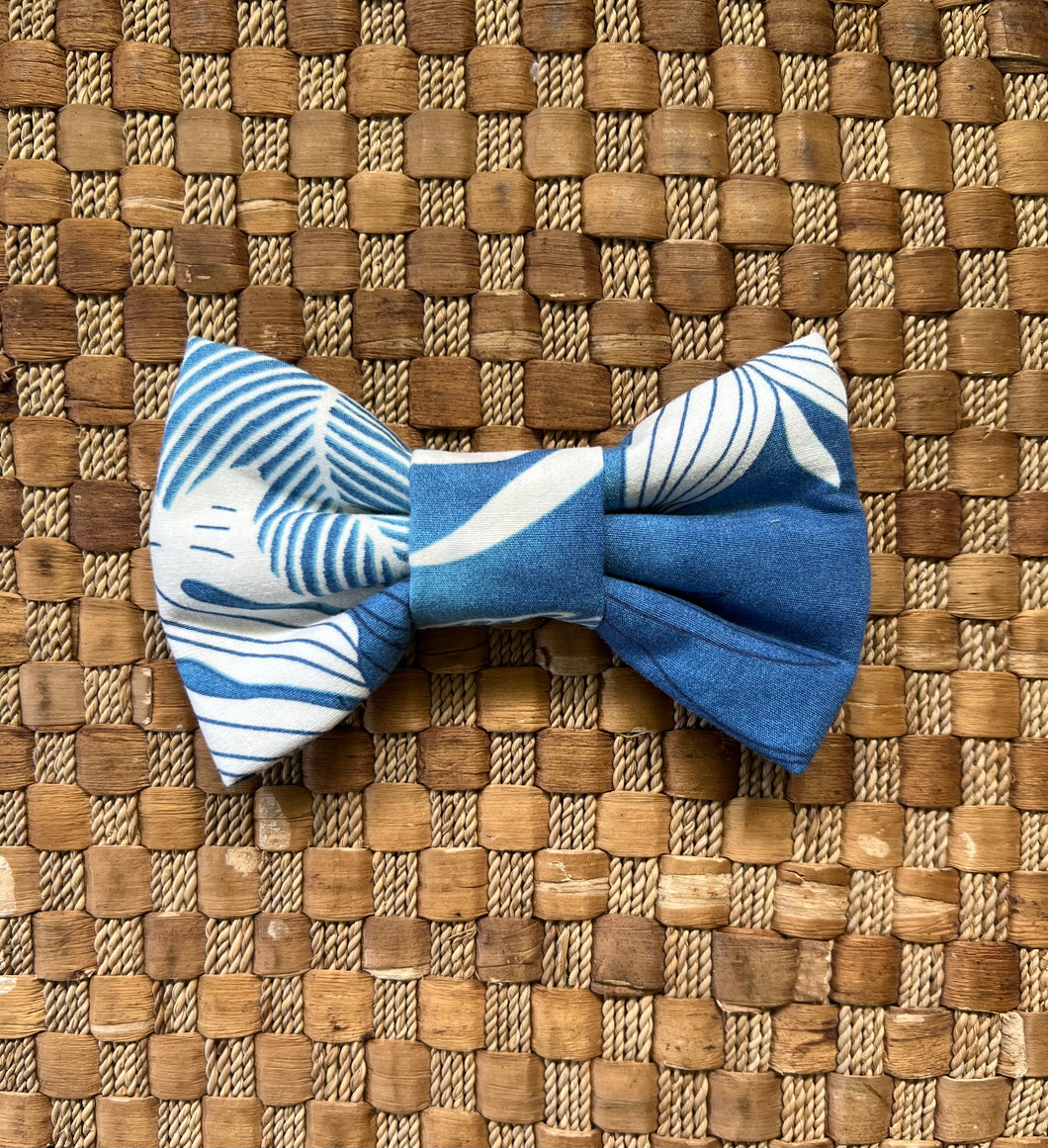 Beautiful Blue Bow Tie
